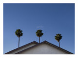 Three Sisters Photographic Print by Bart Ross