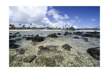 Lava Rocks of Poipu Beach Kauai Hawaii Lámina fotográfica por George Oze Lava Rocks of Poipu Beach Kauai Hawaii Lámina fotográfica por George Oze