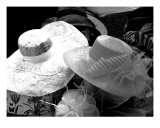 Spring Bonnets In Charcoal Photographic Print by Susan Lipschutz