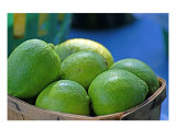 Limes Photographic Print by Tamara Shurling