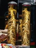 Bottled Ginseng Root at Namdaemun Market, Seoul, South Korea Fotografie-Druck von Richard I'Anson