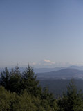 Mt. Baker Looms in the Distance as Seen from Vancouver Island Photographic Print by Taylor S. Kennedy
