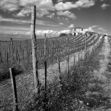Dirt Road Leading to House, Tuscany, Italy Photographie par Eric Kamp