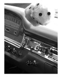 Dice Photographic Print by Deb Neufell