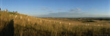 Cemetery, Little Big Horn Battlefield National Monument, Montana Photographic Print by Michael S. Lewis