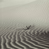 Rippling Sand Dunes of Death Valley California Photographic Print by Keith Levit