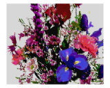 Flower-Variations Ll Lámina fotográfica por dana lee