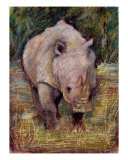Rhino Photographic Print by Agnieszka Grecka