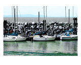 Breakwater I Photographic Print by Sari Mcnamee