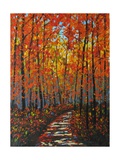 Autumn Path IX Photographic Print by Patty Baker