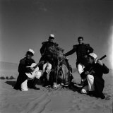 The Shadows with Henry the Camel of Location for the Film Wonderful Life on the Canary Islands Photographie