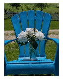 Sitting Back In My Blue Adirondack - White Peonies Photographic Print by Darlene Navor
