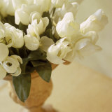 White Tulips in Vase Photographie par Fabrizio Cacciatore