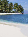 Belize, Ranguana Caye, Palm Trees and Beach Photographic Print by Jane Sweeney