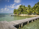Belize, Tobaco Caye, Pier and Beach Photographic Print by Jane Sweeney