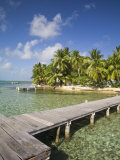 Belize, Tobaco Caye, Pier and Beach Photographic Print by Jane Sweeney
