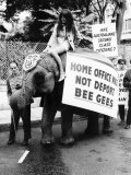 Fans of the Group the Bee Gees Protest Home Office Must Not Deport Australian Members of the Band Photographie