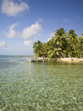 Belize, Tobaco Caye, Beach and Palm Trees Photographic Print by Jane Sweeney