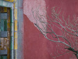 China, Beijing, the Forbidden City, Courtyard Detail Photographic Print by Walter Bibikow