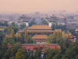The Forbidden City, Elevated View, Beijing, China Photographic Print by Michele Falzone