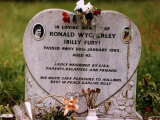 Rock Star Billy Fury's Grave in Mill Hill Cemetry in Overgrown Field Fotografisk tryk Rock Star Billy Fury's Grave in Mill Hill Cemetry in Overgrown Field Fotografisk tryk