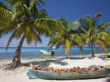 Belize, Laughing Bird Caye, Canoe Filled with Coconut Husks on Beach Photographic Print by Jane Sweeney