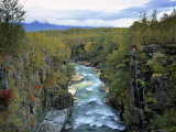 Abisko River Gorge, Lappland, Sweden Photographic Print by Gavin Hellier