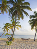 Panama, Comarca de Kuna Yala, San Blas Islands, Kuanidup Grande, Tropical Beach Photographic Print by Jane Sweeney