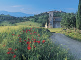 Poopies and Village, Tuscany, Italy Photographie par Peter Adams