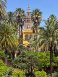 Giralda Tower Seen from Alcazar Gardens, Seville, Spain Photographic Print by Alan Copson Giralda Tower Seen from Alcazar Gardens, Seville, Spain Photographic Print by Alan Copson