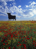 Giant Bull, Toros de Osborne, Andalucia, Spain Photographic Print by Gavin Hellier