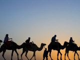 North Africa, Morocco, Tinfou Dunes, Camels at Sunset Photographic Print by Jane Sweeney
