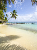 Panama, Comarca de Kuna Yala, San Blas Islands, Kuanidup Grande, Tropical Beach Photographic Print by Jane Sweeney