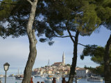 Croatia, Istria, Rovinj, Harbour and Cathedral of St. Euphemia Photographic Print by Walter Bibikow