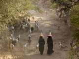 Goat Herder, Al Wadi Dawan, Nr Wadi Hadhramawt, Yemen Photographie par Peter Adams