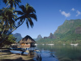 Cook's Bay, Moorea, French Polynesia, South Pacific, Tahiti Photographic Print by Steve Vidler
