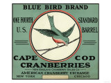 Cape Cod, Massachusetts - Blue Bird Brand Cranberry Label Posters