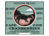 Cape Cod, Massachusetts - Pointer Brand Cranberry Label Photo