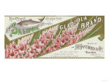 Clatsop County, Oregon - Gladiola Salmon Label Photo