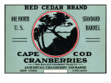 Cape Cod, Massachusetts - Red Cedar Brand Cranberry Label Posters