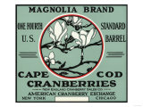 Cape Cod, Massachusetts - Magnolia Brand Cranberry Label Posters