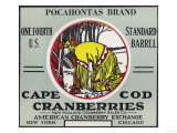 Cape Cod, Massachusetts - Pocahontas Brand Cranberry Label Posters