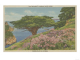 Carmel Bay, CA - View of 