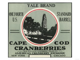 Cape Cod, Massachusetts - Yale Brand Cranberry Label Photo