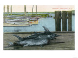 Block Island, Rhode Island - View of Two Swordfish Posters