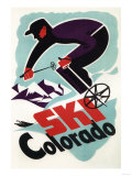 Colorado - Black and Purple Clothed Skier Skiing Colorado Poster Photo Colorado - Black and Purple Clothed Skier Skiing Colorado Poster Photo