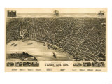 Evansville, Indiana - Panoramic Map Posters
