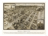 Houston, Texas - Panoramic Map Posters