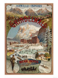 Grindelwald, Switzerland - View of the Bear Hotel Promotional Poster Art