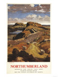 Northumberland, England - Hadrian's Wall and Sheep British Rail Poster Affiche